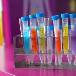 Do Government Jobs Drug Test?